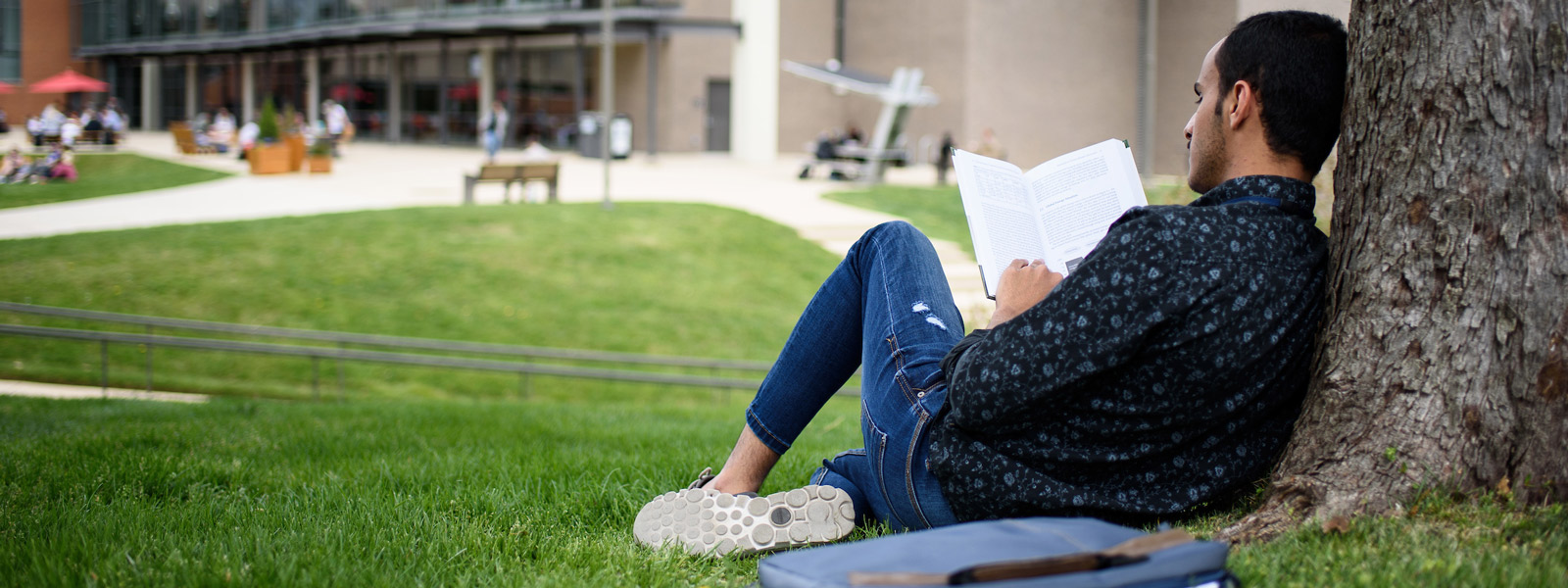 Man reading on university lawn