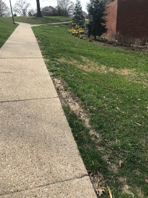 path to Marist Annex